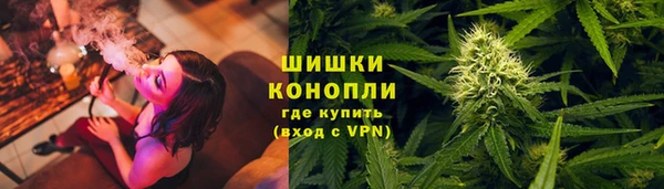 спайс Алзамай