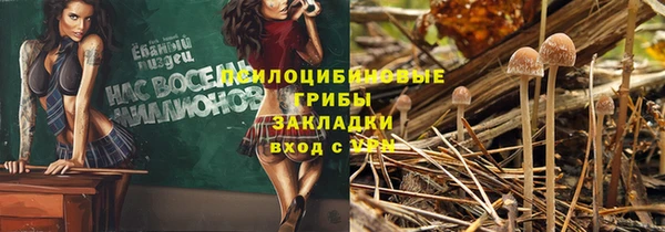 спайс Алзамай