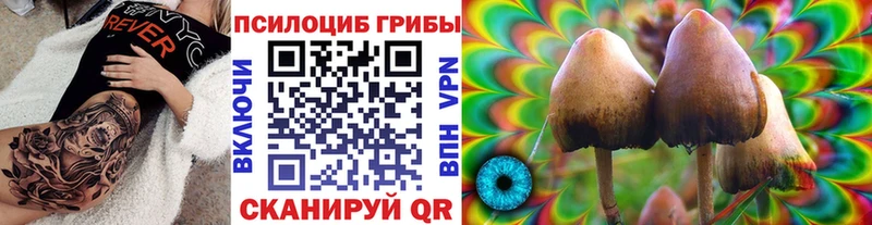 Псилоцибиновые грибы Magic Shrooms  купить наркоту  Октябрьск 